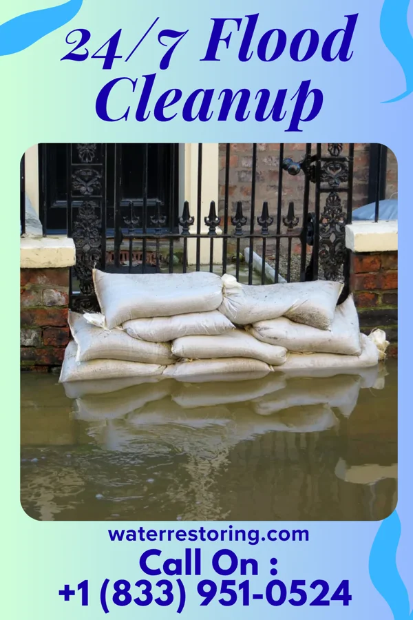 24/7 Flood Cleanup in Micro, NC