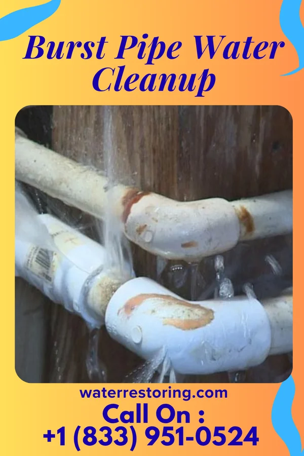Burst Pipe Water Cleanup in Micro, NC
