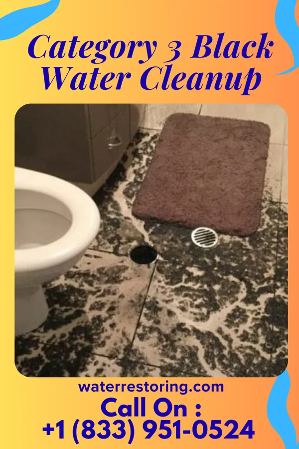 Category 3 Black Water Cleanup in Micro, NC
