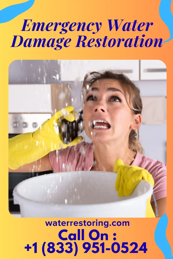 Emergency Water Damage Restoration in Micro, NC