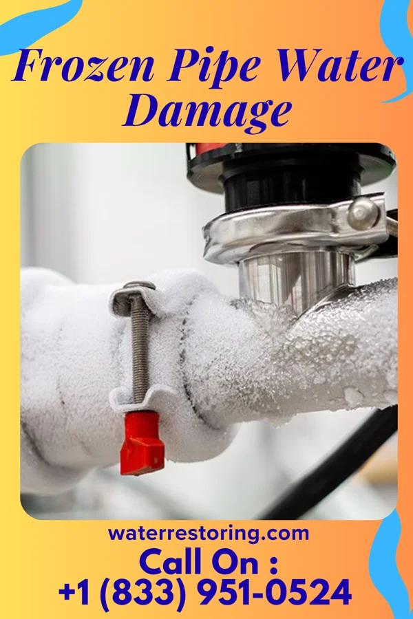 Frozen Pipe Water Damage in Micro, NC