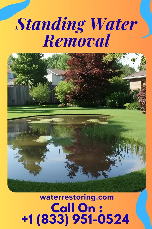 Standing Water Removal in Micro, NC